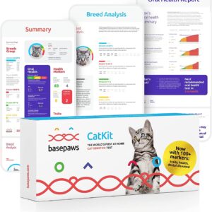 Basepaws Cat DNA Test