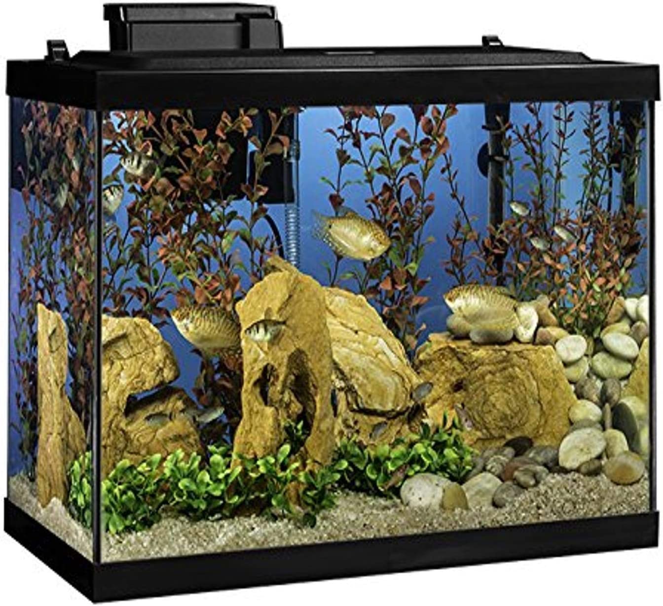 Aquarium Fish Tank Kit with LED Lighting and Decoration