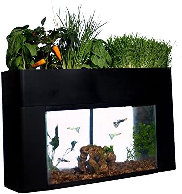 Desktop Aquarium Aquaponics Ecosystem Kit