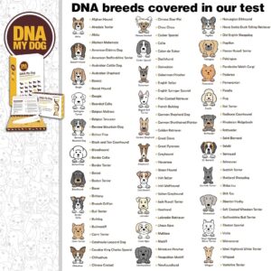 Dna My Dog Genetic Testing Kit