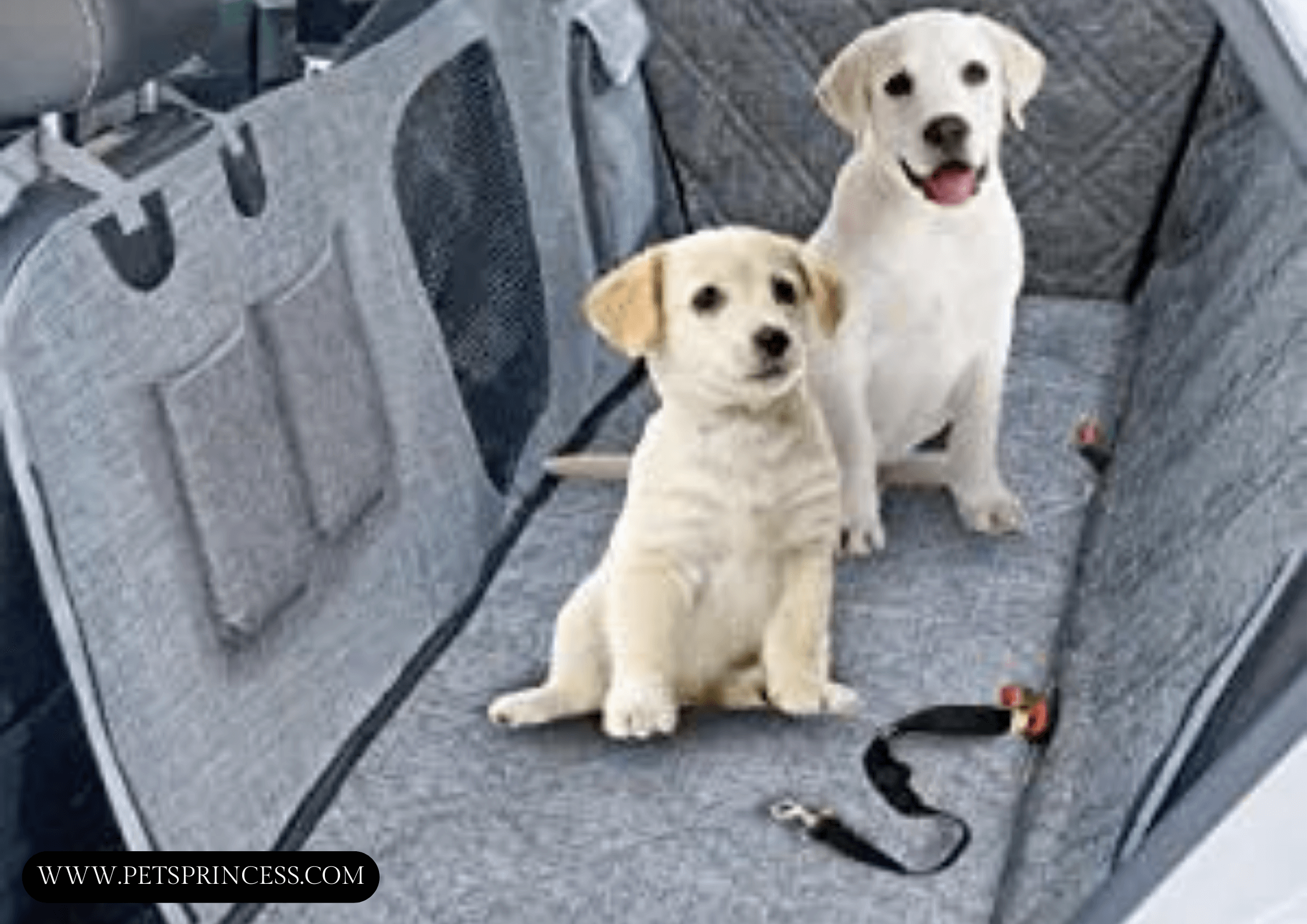 Read more about the article The Best Car Seat Covers for Dogs : Most Durable, Most Secure, Best Value