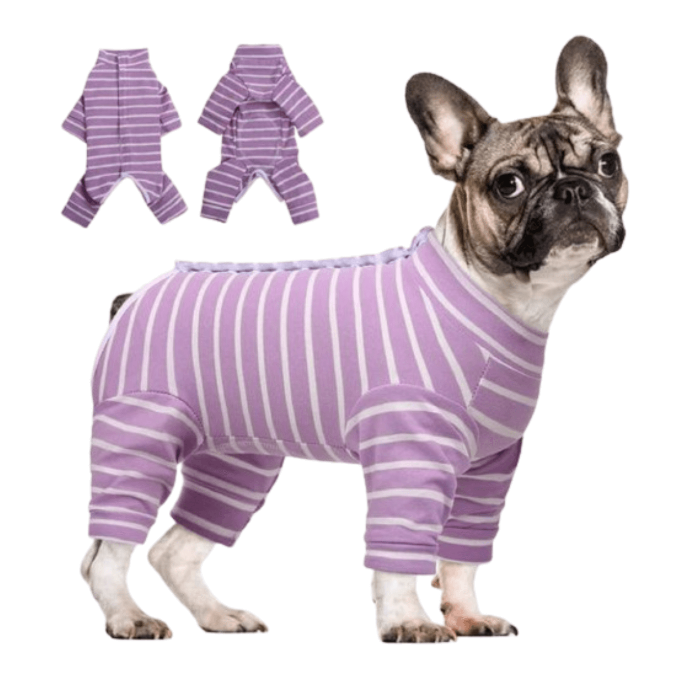 Recovery Suit for Dogs Cats