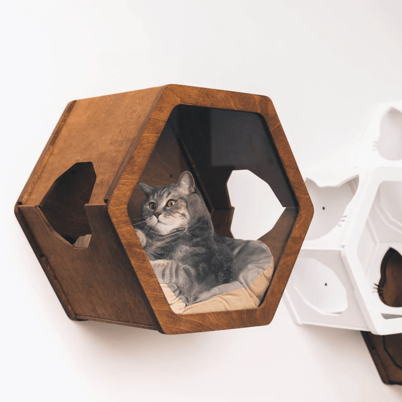 Cat Wall Mounted Bed