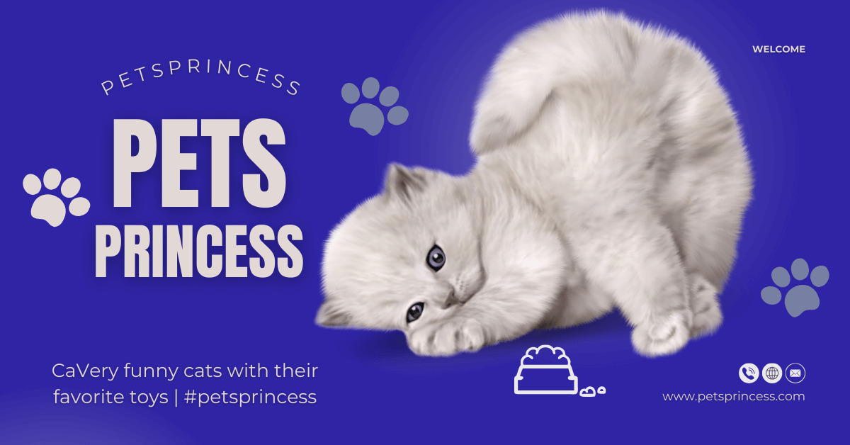 You are currently viewing Very funny cats with their favorite toys | #petsprincess